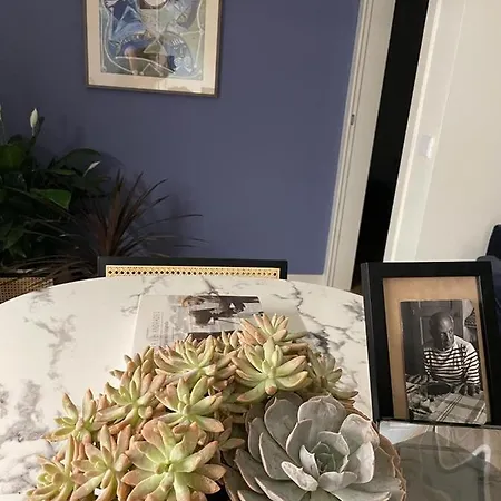Picasso